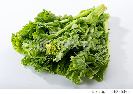 菜の花 136226369