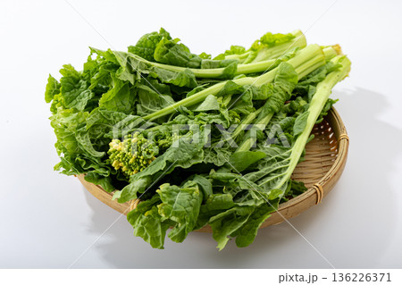 菜の花 136226371
