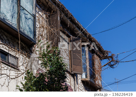 枯れた蔦（ツタ）に覆われた空き家の2階と鎧戸のある窓 136226419