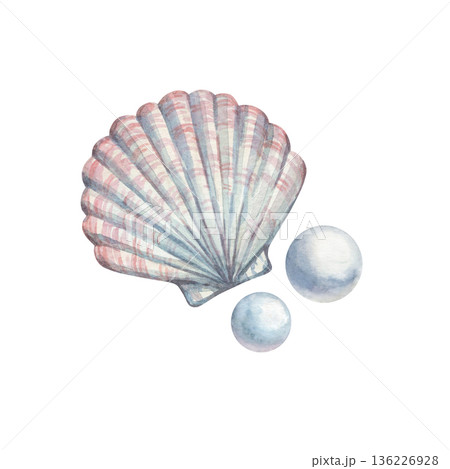 A watercolor illustration featuring a seashell and pearls 136226928