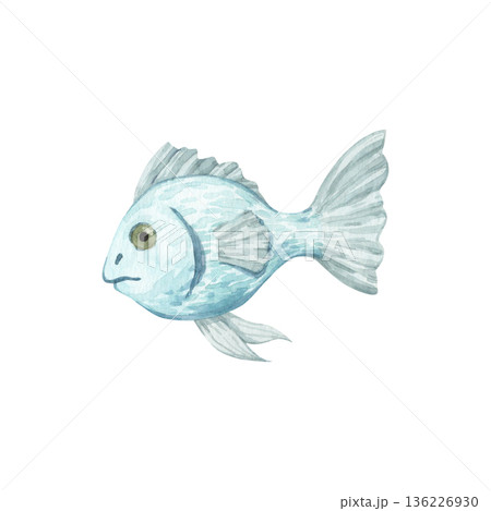 A watercolor illustration of a cute turquoise fish A watercolor illustration of a cute turquoise fish 136226930