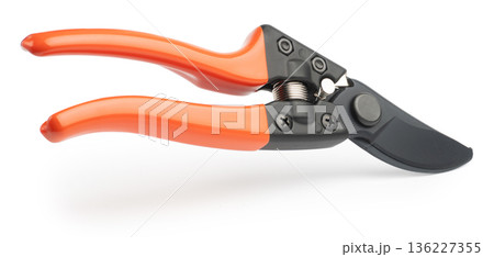 Gardening tool equipment. Single steel garden scissors for pruning plants and flowers. Pruning of a vineyard or fruit tree. isolated on white 136227355