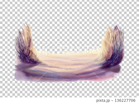 Sand dunes with pampas grass glow in golden sunset light,cast with deep violet shadows.Hand drawn illustration in soft watercolor washes for coastal decor,travel blogs,nature inspired branding 136227706