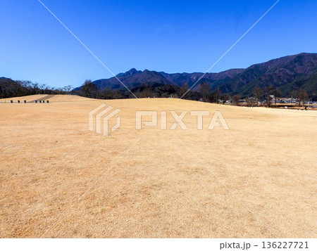 冬の八木崎公園 136227721