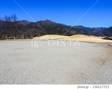 冬の八木崎公園 136227723