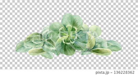 Triangular clover sprig featuring lucky four leaf clover,celebrating Irish traditional Saint Patricks Day.Watercolor for holiday designs,greeting cards,cultural holidays,celtic weddings Triangular clover sprig featuring lucky four leaf clover,celebrating Irish traditional Saint Patricks Day.Watercolor for holiday designs,greeting cards,cultural holidays,celtic weddings 136228362