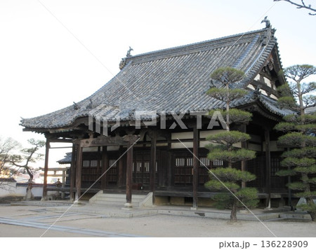 岡山県倉敷市！観龍寺の本堂 136228909