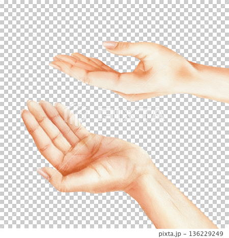 Two hands turned palms up. Women's hands in different poses raised and holding something. Watercolor isolated illustration as support, trust and care. For psychological centers, volunteering, charity 136229249