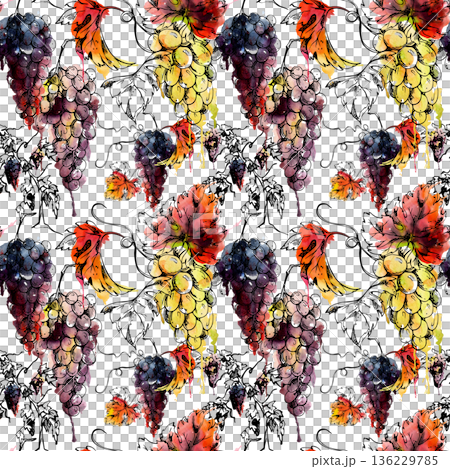 Seamless pattern with ripe grape clusters hanging on vines with leaves, tendrils. Hand painted in watercolor and ink linework. Organic product packaging, textile prints, kitchen decor, wrapping paper Seamless pattern with ripe grape clusters hanging on vines with leaves, tendrils. Hand painted in watercolor and ink linework. Organic product packaging, textile prints, kitchen decor, wrapping paper 136229785