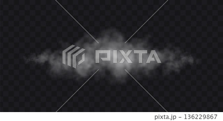 White mist cloud on transparent background. Fog realistic effect. 136229867