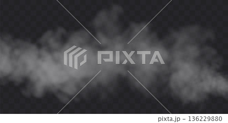 White fog effect on black transparent background. Steam soft cloud overlay vector illustration. 136229880