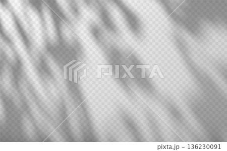 Dappled light creates natural shadow overlay on a transparent background. Soft foliage light effects with organic leaf pattern. Dappled light creates natural shadow overlay on a transparent background. Soft foliage light effects with organic leaf pattern. 136230091