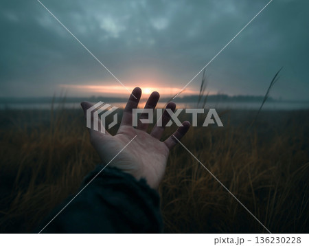 未来 136230228