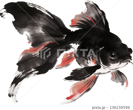 水面を泳ぐ金魚の和風イラスト背景素材 136230599