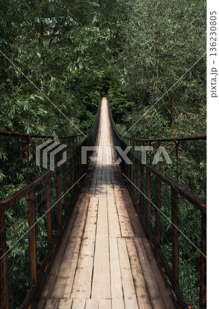 Suspension Bridge Leading Through Dense Green Forest Suspension Bridge Leading Through Dense Green Forest 136230805