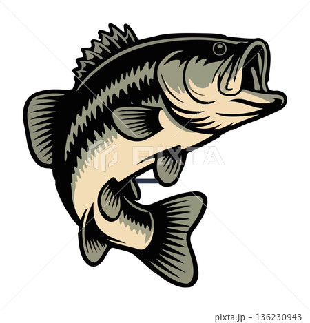 Leaping Large Mouth Bass Fish Graphic Illustration on White Background 136230943