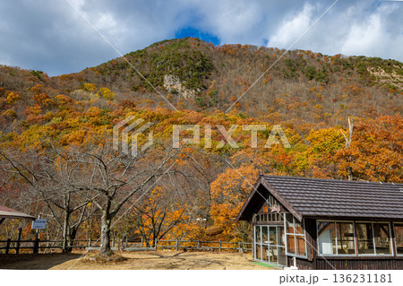 佐渡の紅葉山公園 136231181