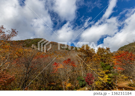 佐渡の紅葉山公園 佐渡の紅葉山公園 136231184