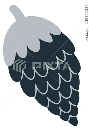 Pine cone drawing. Decorative natural winter element 136231580