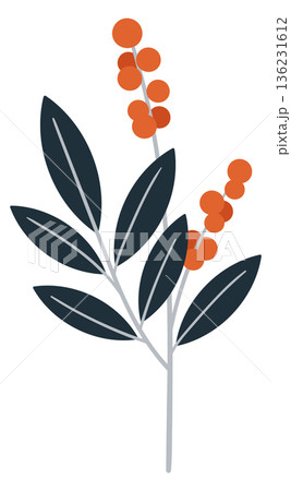 Floral element. Decorative natural botany. Herb doodle 136231612