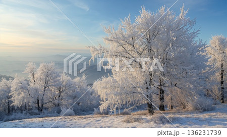 朝日に照らされる樹氷　雪山風景 136231739