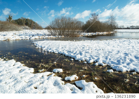 Melting snow on a meadow on a sunny day 136231890