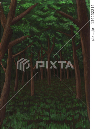森の奥深く 136232212