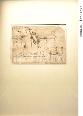 ダビンチのデッサン 136232571