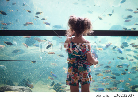 A little girl looking at tropical colorful fish in a big tank at an aquarium A little girl looking at tropical colorful fish in a big tank at an aquarium 136232937