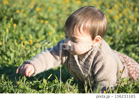 A young male toddler playing with the grass outdoors in a green field 136233165