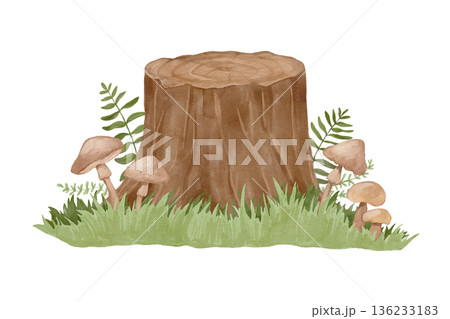 Watercolor forest stump with mushrooms, moss, and grass in a peaceful woodland botanical landscape setting. 136233183