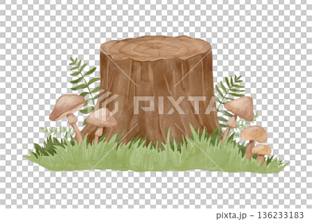 Watercolor forest stump with mushrooms, moss, and grass in a peaceful woodland botanical landscape setting. 136233183