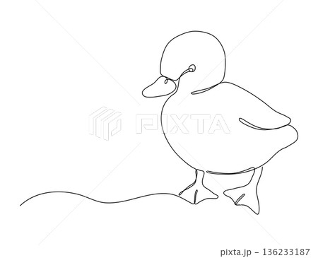 One line sitting duckling. Continuous drawing of farm bird. Linear sketch. Doodle illustration One line sitting duckling. Continuous drawing of farm bird. Linear sketch. Doodle illustration 136233187