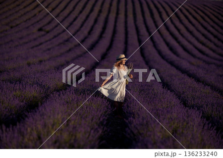 Woman lavender field walking white dress enjoying summer sunset travel in purple rows Woman lavender field walking white dress enjoying summer sunset travel in purple rows 136233240