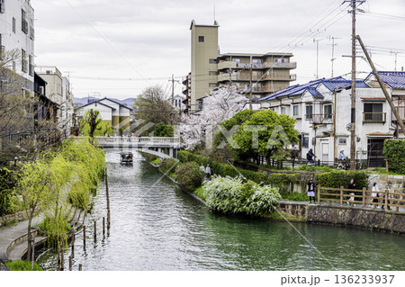 伏見十石舟 桜のある風景 136233937