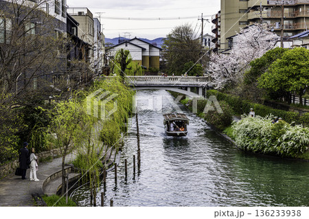 伏見十石舟 桜のある風景 136233938