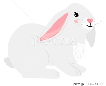 Spring holiday mascot. Easter bunny cartoon animal Spring holiday mascot. Easter bunny cartoon animal 136234113