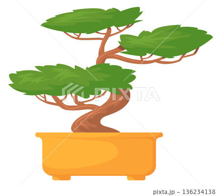 Bonsai tree cartoon icon. Miniature japanese houseplant Bonsai tree cartoon icon. Miniature japanese houseplant 136234138