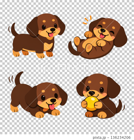 Cute dachshund cartoon playful puppy dog set joyful expression 136234206