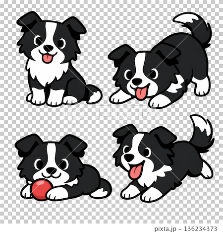 Cartoon border collie puppy set playful cute dog collection joyful pose 136234373