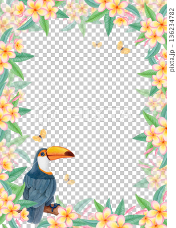 Watercolor tropical frame with toucan, plumeria flowers and butterflies. Floral border with exotic bird and frangipani blossoms. 136234782