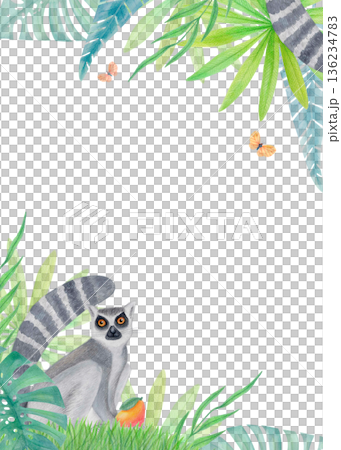Watercolor tropical corner border with lemur, green jungle leaves and butterflies isolated on white. Exotic animal illustration.  136234783