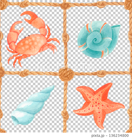 Watercolor marine seamless pattern with crab, starfish, seashells in rope grid. Nautical design with sea animals in vintage style. 136234800