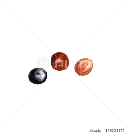 Three peppercorns watercolor spice study, delicate brushstrokes, textured paper grain, warm pink red black tones, bright negative space, chef branding and cookbook header inspiration, packaging mockup Three peppercorns watercolor spice study, delicate brushstrokes, textured paper grain, warm pink red black tones, bright negative space, chef branding and cookbook header inspiration, packaging mockup 136235171