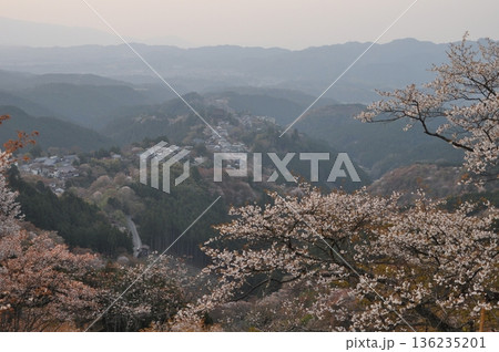 奈良県、吉野山の桜の風景 136235201