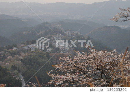 奈良県、吉野山の桜の風景 奈良県、吉野山の桜の風景 136235202