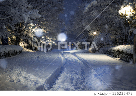 雪降る公園の歩道：キラキラ光る雪の結晶と静かな公園 136235475