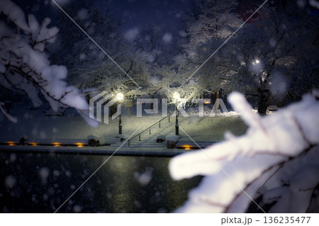 冬の静寂な水辺：降りしきる雪と木々の隙間から望む風景 136235477