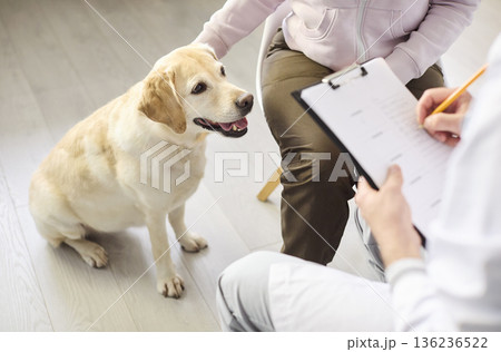 Veterinarian consulting pet owner and labrador dog in clinic for routine checkup 136236522