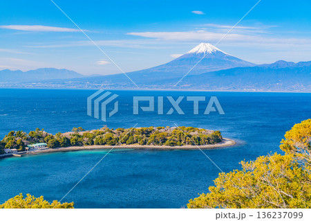 （静岡県）伊豆・大瀬﨑の向こうに富士山 136237099